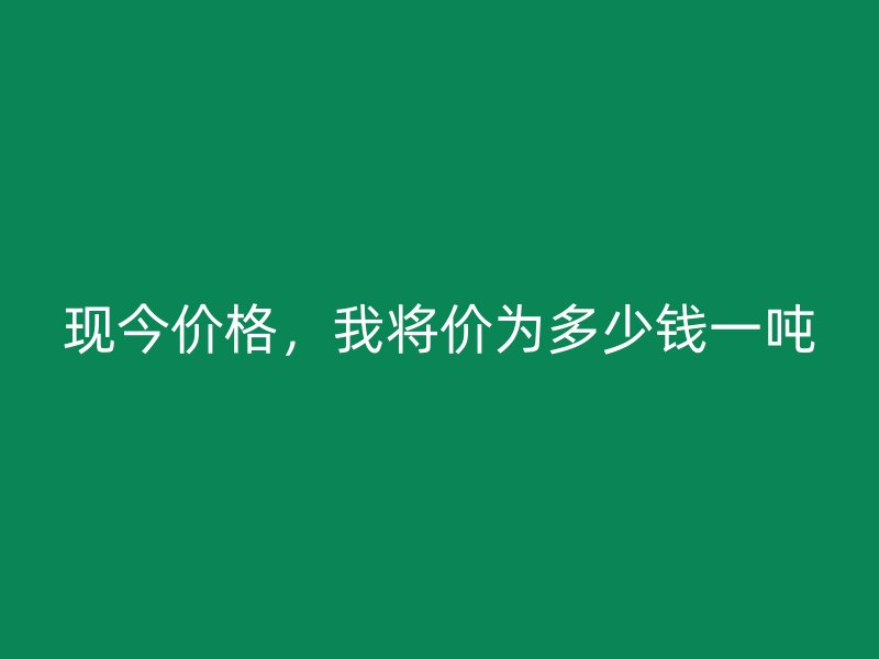 現(xiàn)今價(jià)格，我將價(jià)為多少錢一噸