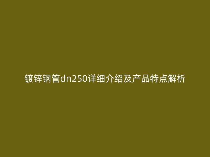 鍍鋅鋼管dn250詳細(xì)介紹及產(chǎn)品特點(diǎn)解析